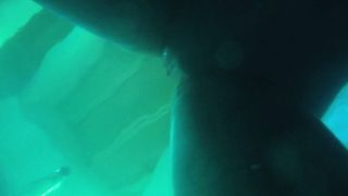 Underwater camera fun