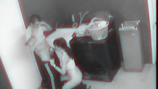 Security Cam Chronicles #1, Scene 1