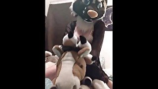 Plushie Play with my  and Leopard