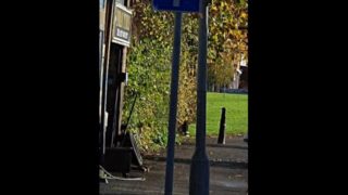 Couple caught fucking in the park on Halloween Party 