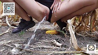 Urgent piss in the cornfield