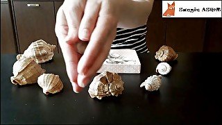 3[ASMR] Rubbing together and scratching seashells (no talking)