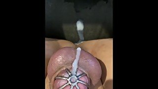 Pov femboy cums through chastity birdcage