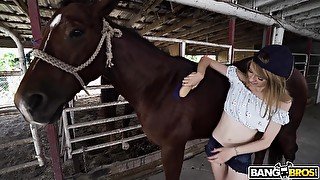 Johnny The , Kristy May Kristy May Rides A Stallion / 10.12.2019