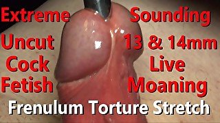 Extreme 13mm & 14mm Sounding Uncut Cock Close-up Fetish FrenulumTorment w Live moaning