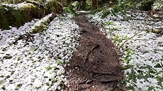 Hike with Mike POV at King's Mountain Trail