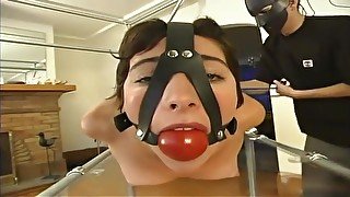 Teasing hussy having a real BDSM experience