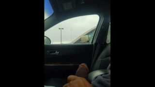 Car dick flash #30