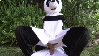 Panda Style: Behind the Bamboo - Nicole Aniston, Kimmy Granger, Bridgette B