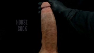 Monster Big White Cock Up Close POV Cock Worship Slow Motion