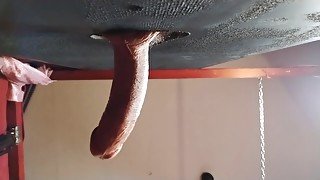 Lady Shock - Glory Hole Suck And Fuck P1