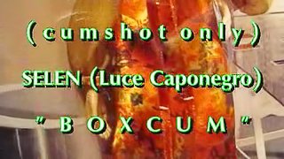 B.B.B.preview: SELEN's BoxCum (cumshot only)