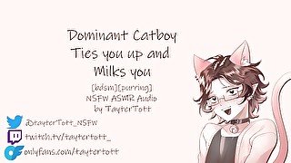 Dominant Catboy Ties you up and Milks you  NSFW ASMR RolePlay [bdsm] [purring]