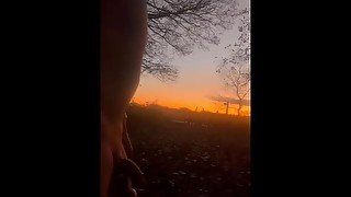 Naked walk in woods by road