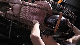 Femdom lady is going to keep him locked in the cage