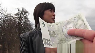 Public Pick Ups - Russian MILF's Creampie starring Mona Kim