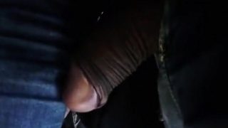 Bus - big cock touches pussy