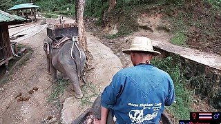 Elephant riding in Thailand with teens