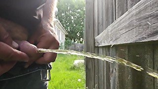 Peeing on my fence