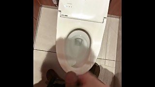 綺麗な商業施設のトイレでオナニーしたよ、でもスマホで録画するとオカズなくなって困った