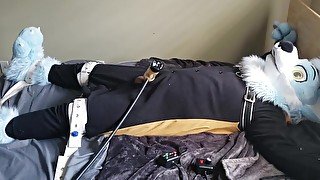 Fursuit Bondage - Milking The Wolf Beyond Orgasm