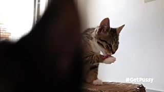 Cute tiny homeless pussy gets a good lick when one of her pussy friends joins