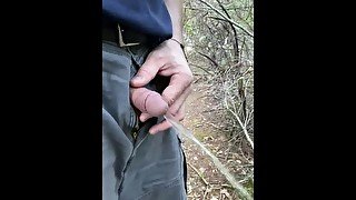 A walk in the woods with my cock out: I really had to pee!!! Part 2