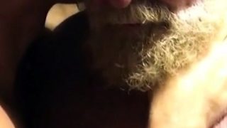 Hairy bears passionate kissing