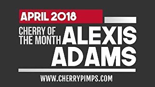 Meet our Busty April Cherry of the Month Alexis Adams