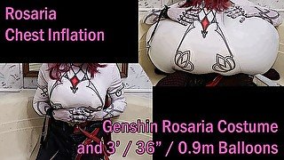 WWM - Rosaria Chest Inflation