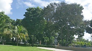 A Beautiful Day At The Park Met A Horny Sexy Ebony Slut Took Her To The Condo For Blowjob - Jhodez