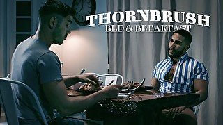 Nico Coopa & Brock Banks in Thornbrush Bed & Breakfast