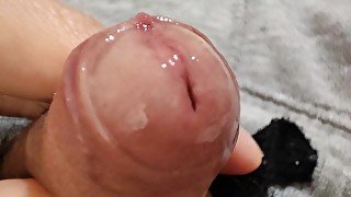 Uncut Cock with Precum