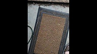 Quick floor mat piss - trans male