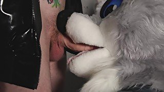 Furry close up Blowjob 4K