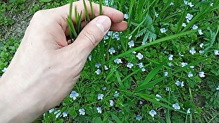 Cute flowers and my hand