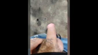 Mechanic blows tattooed dick and tops twink for payment