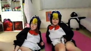 Teen penguins on cam