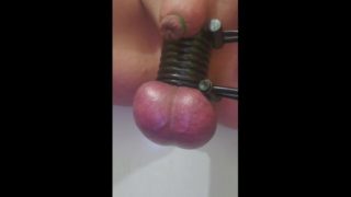 Slave put into elastrator chastity and tormented 