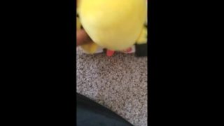 Pichu fucks Plusle uncensored 