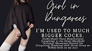 ASMR  I've been with bigger dicks than yours  Small Penis Humiliation  Audio Porn