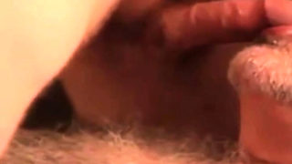 daddy bear sucking cock and cumming on his beard