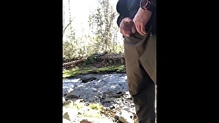 Stopped to take a piss under this cool bridge while going for a hike on Vancouver Island