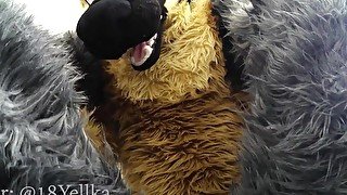 Hot German shepherd fucks cute gray submissive bunny (Murrsuit porn)