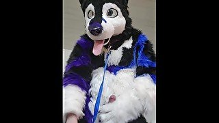 Johnny Huskey - Paw off and cum :3