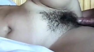 Cock plays with hairy pussy