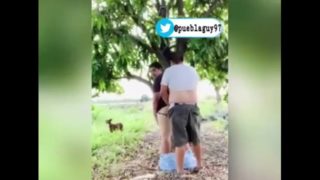 Dos gorditos jugando en el campo 