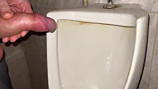 Pissing my beautiful cock with big balls in a public office toilet