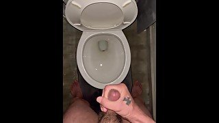 Toilet cum dump