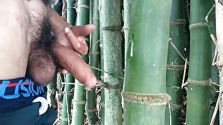 Indian boy cumming on bamboo,Handjob Cumshot